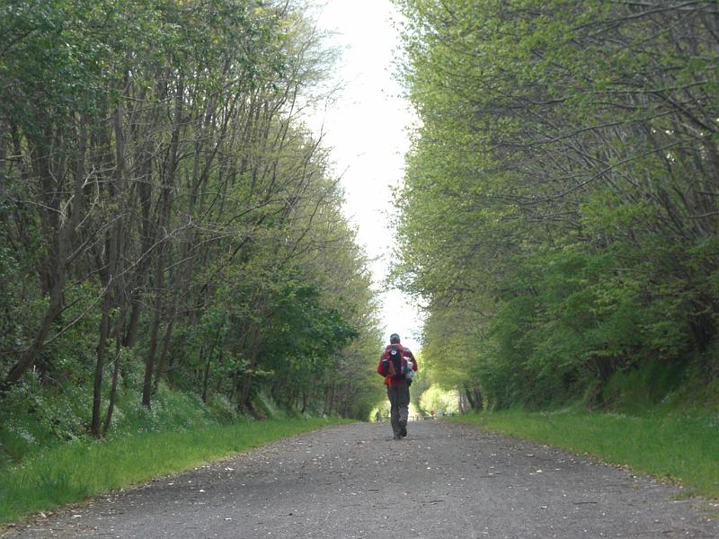 Mont Saint Michel 2010 - 320.jpg